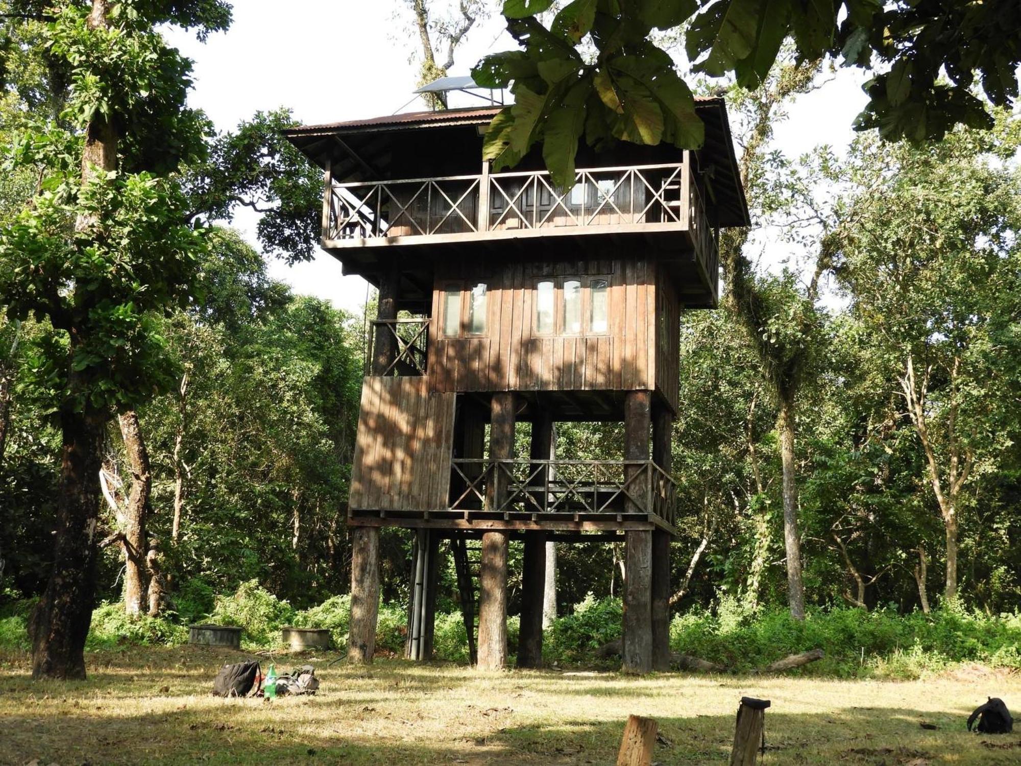 Hotel Typical Nepali Kitchen - No Pizza - No Pasta - No Problem !! Sauraha Exterior foto